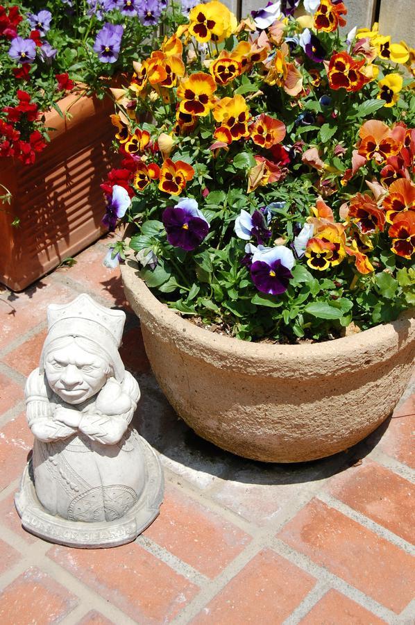 Cheshire Cat Inn & Cottages 산타 바바라 외부 사진